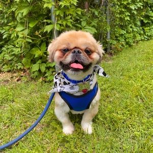 Meet your Posher, Jorge